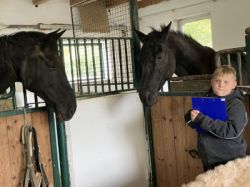 25-10-06 14-29-19 7396